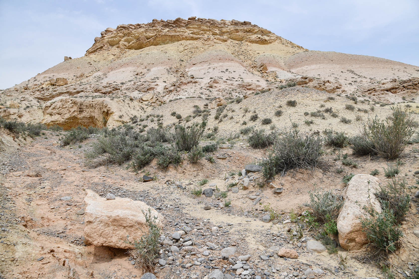 Мадыген, image of landscape/habitat.