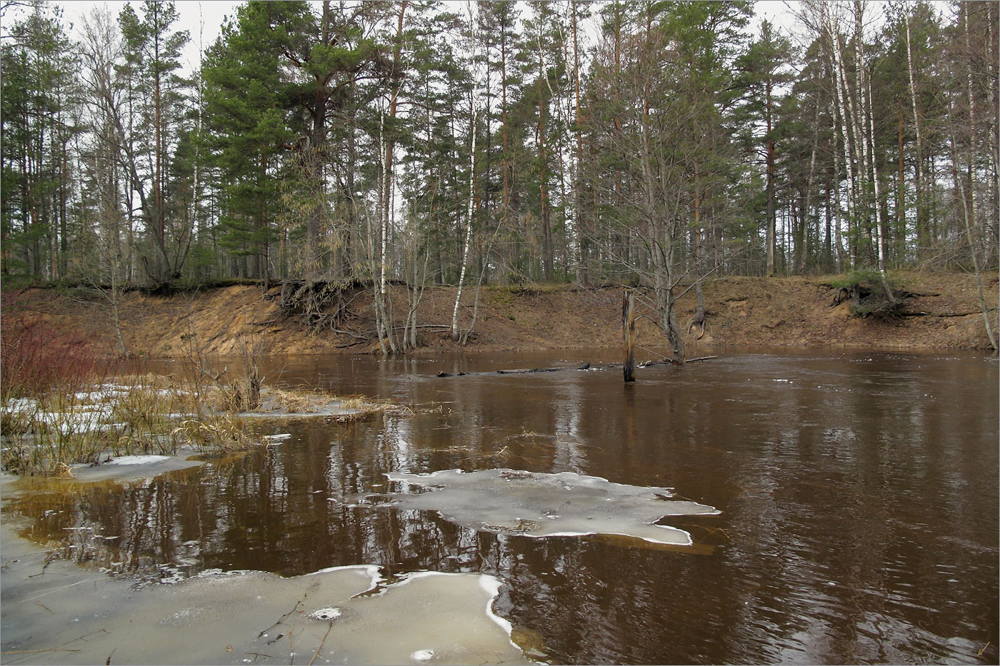 Хаболовка, image of landscape/habitat.