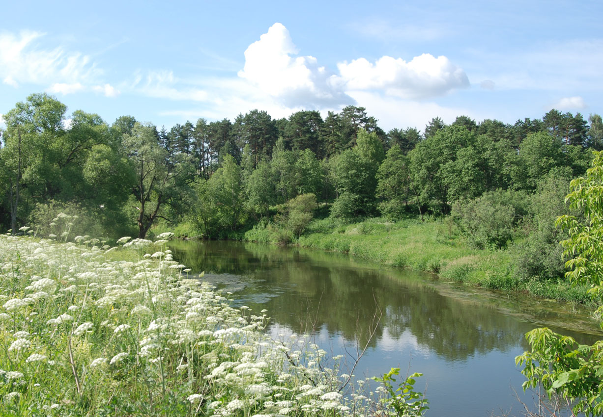 Павловская Слобода, image of landscape/habitat.