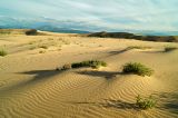 Image of landscape