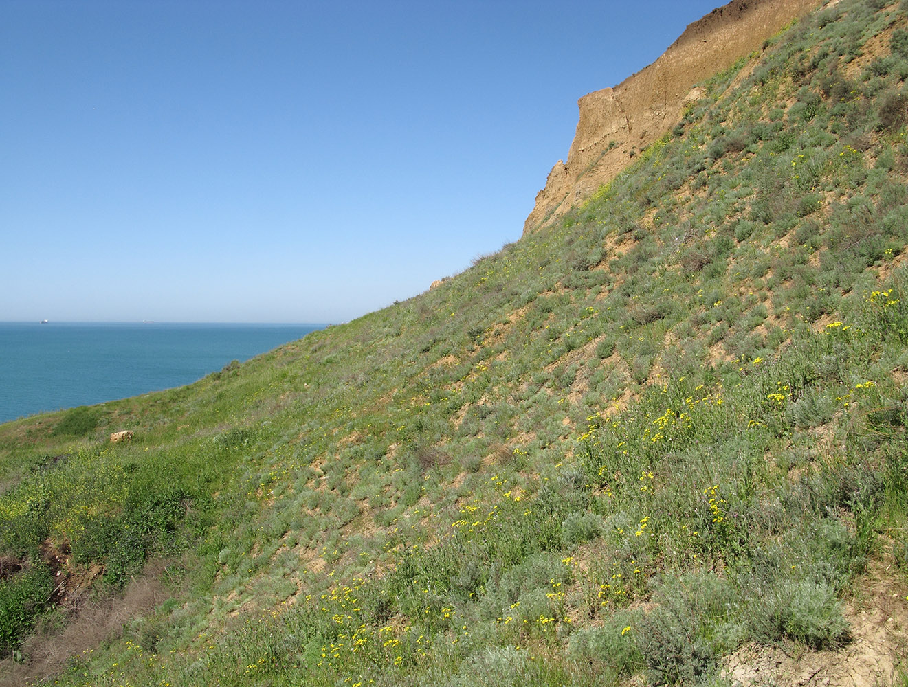 Железный Рог, image of landscape/habitat.