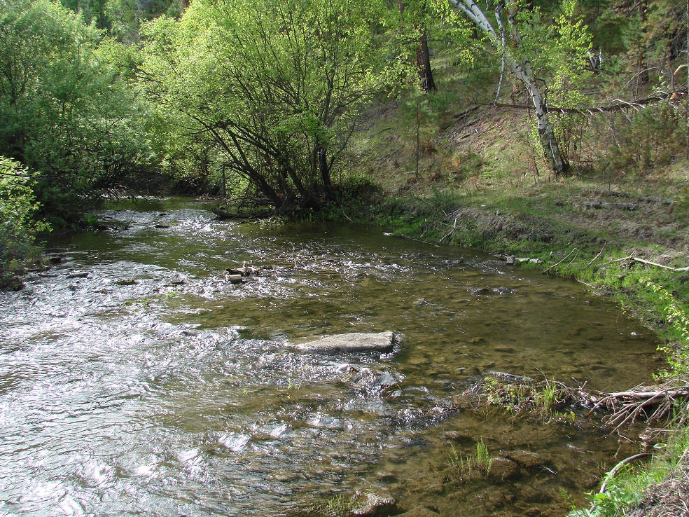 Шаманка, image of landscape/habitat.