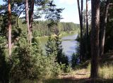 Image of landscape