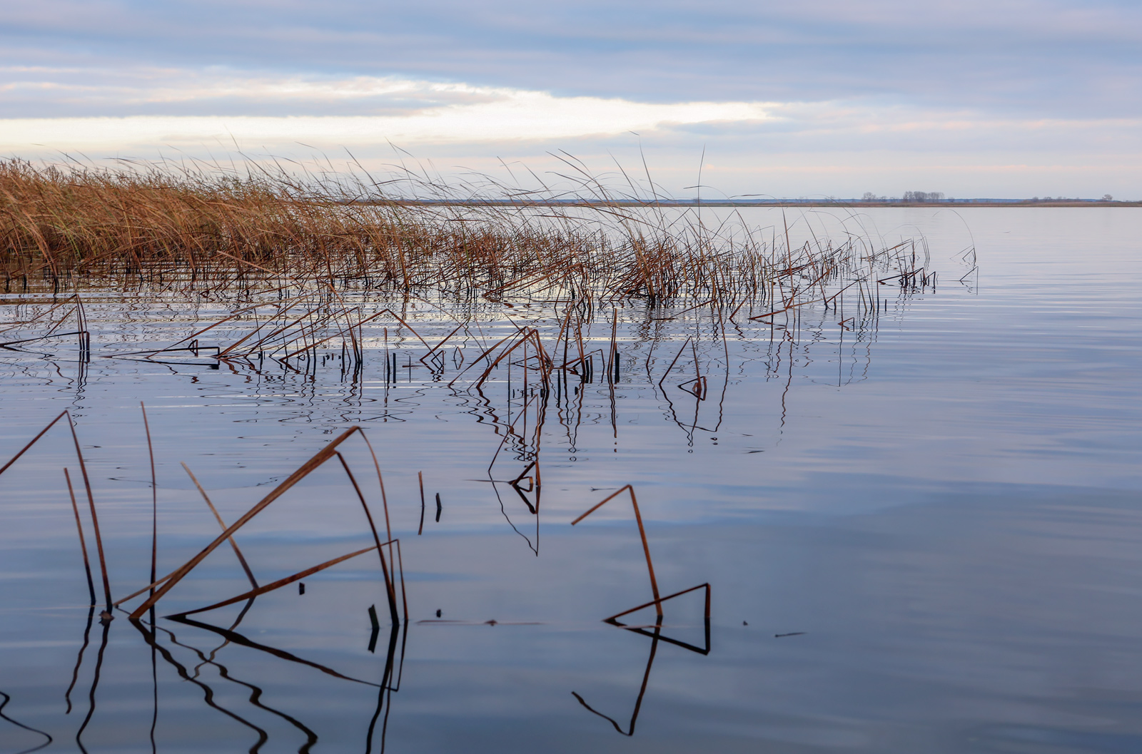 Окрестности села Красный Бор, image of landscape/habitat.