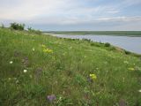 Урочище Терновый Яр, image of landscape/habitat.