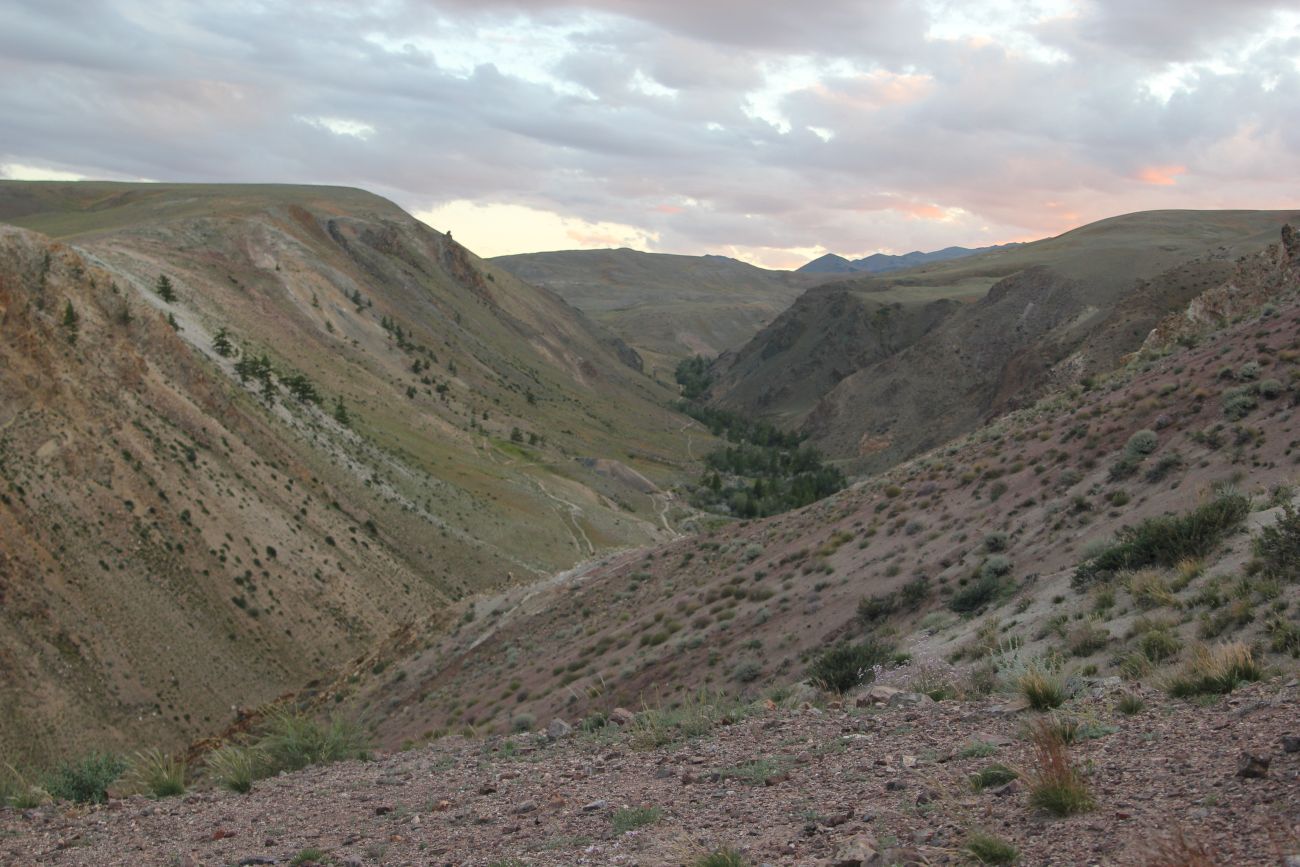 Урочище Марс, image of landscape/habitat.