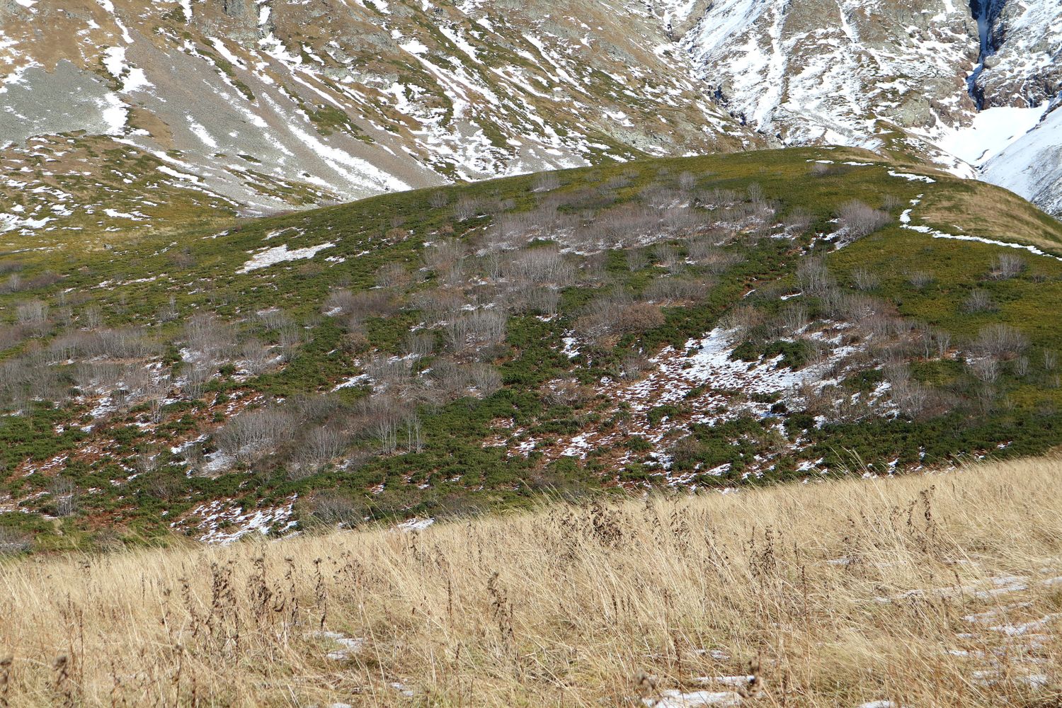 Перевал Псеашхо, изображение ландшафта.