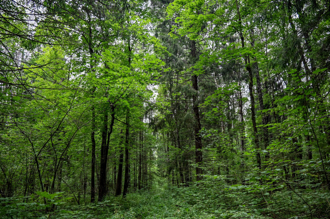 Долина реки Каменка, image of landscape/habitat.