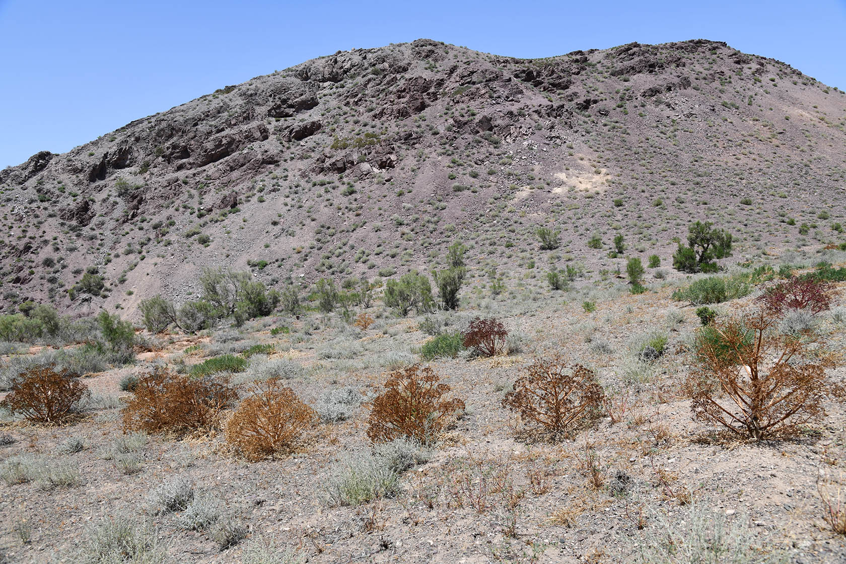 Бала-Богуты, image of landscape/habitat.