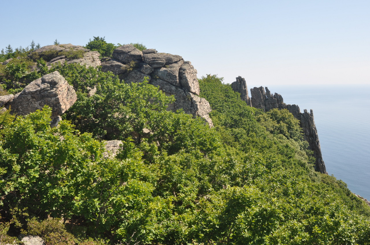 Гора Абрек, image of landscape/habitat.