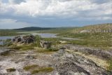 Image of landscape