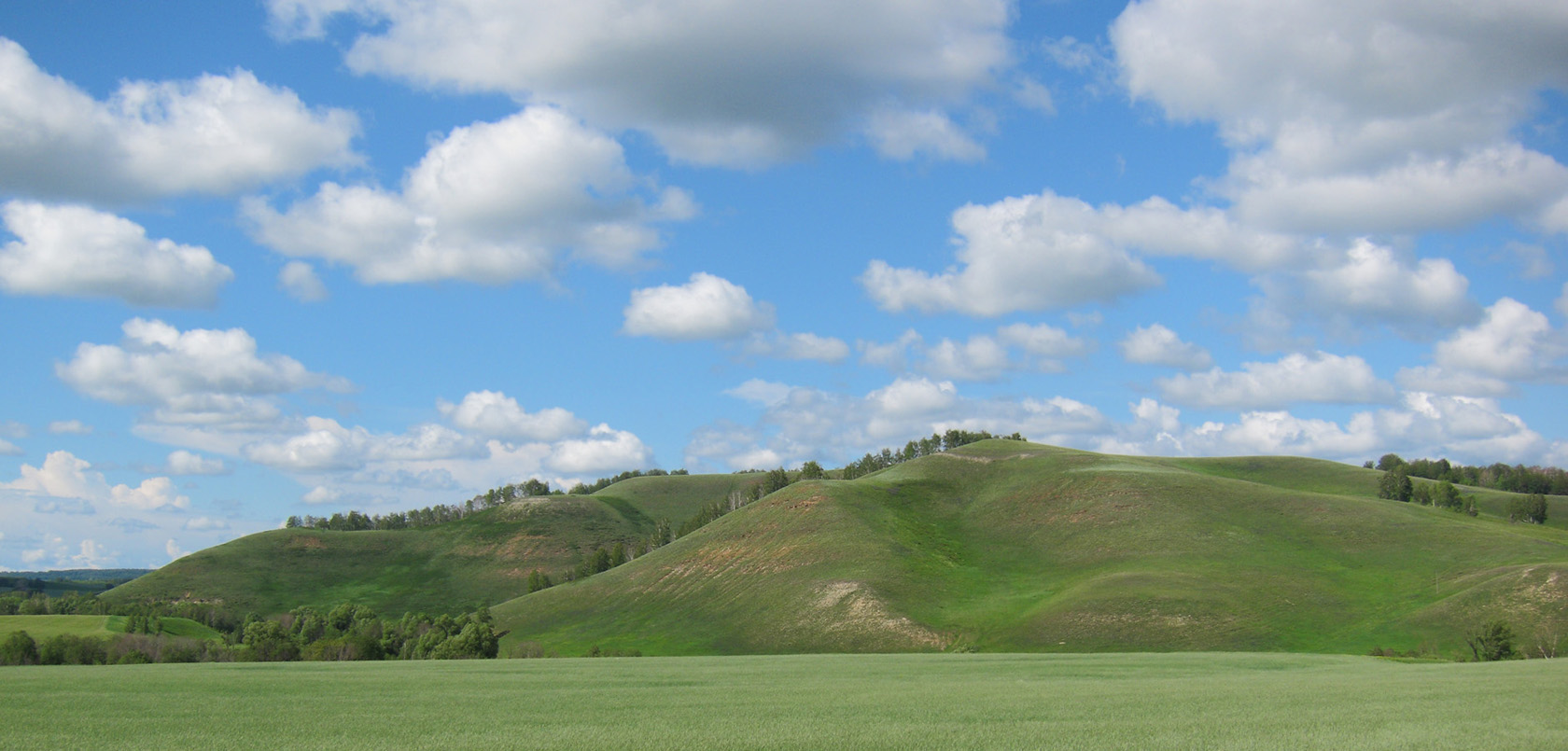 Райлан, image of landscape/habitat.