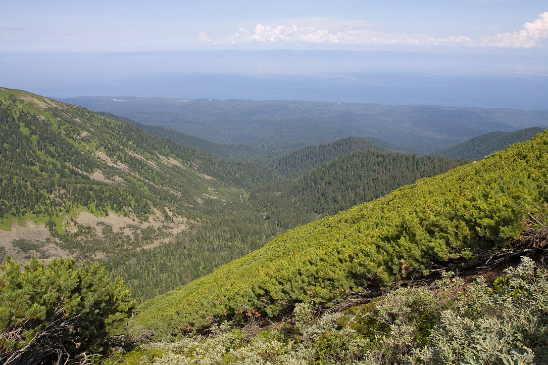 Тропа на "Чум", image of landscape/habitat.