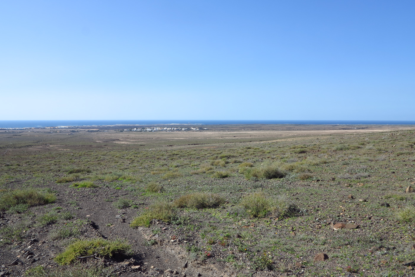 Эль Котильо и окрестности, image of landscape/habitat.