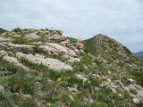 Image of landscape