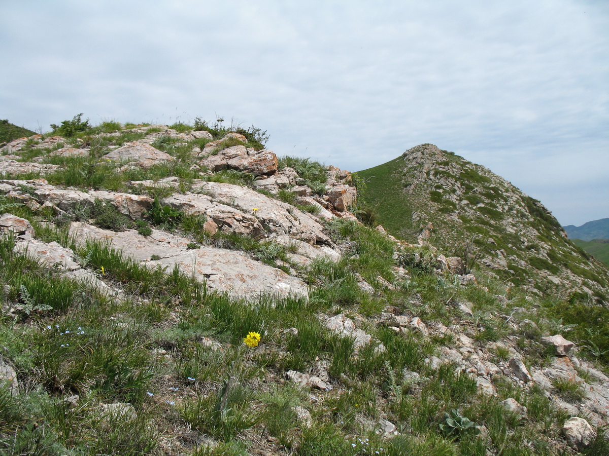Перевал Кегень, image of landscape/habitat.