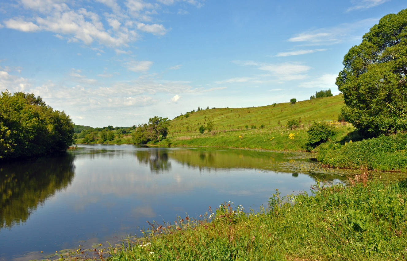 Долина реки Красивая Меча, image of landscape/habitat.