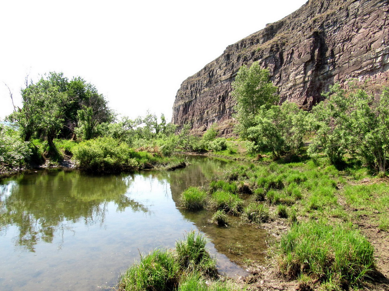 Кавказский Бор, image of landscape/habitat.