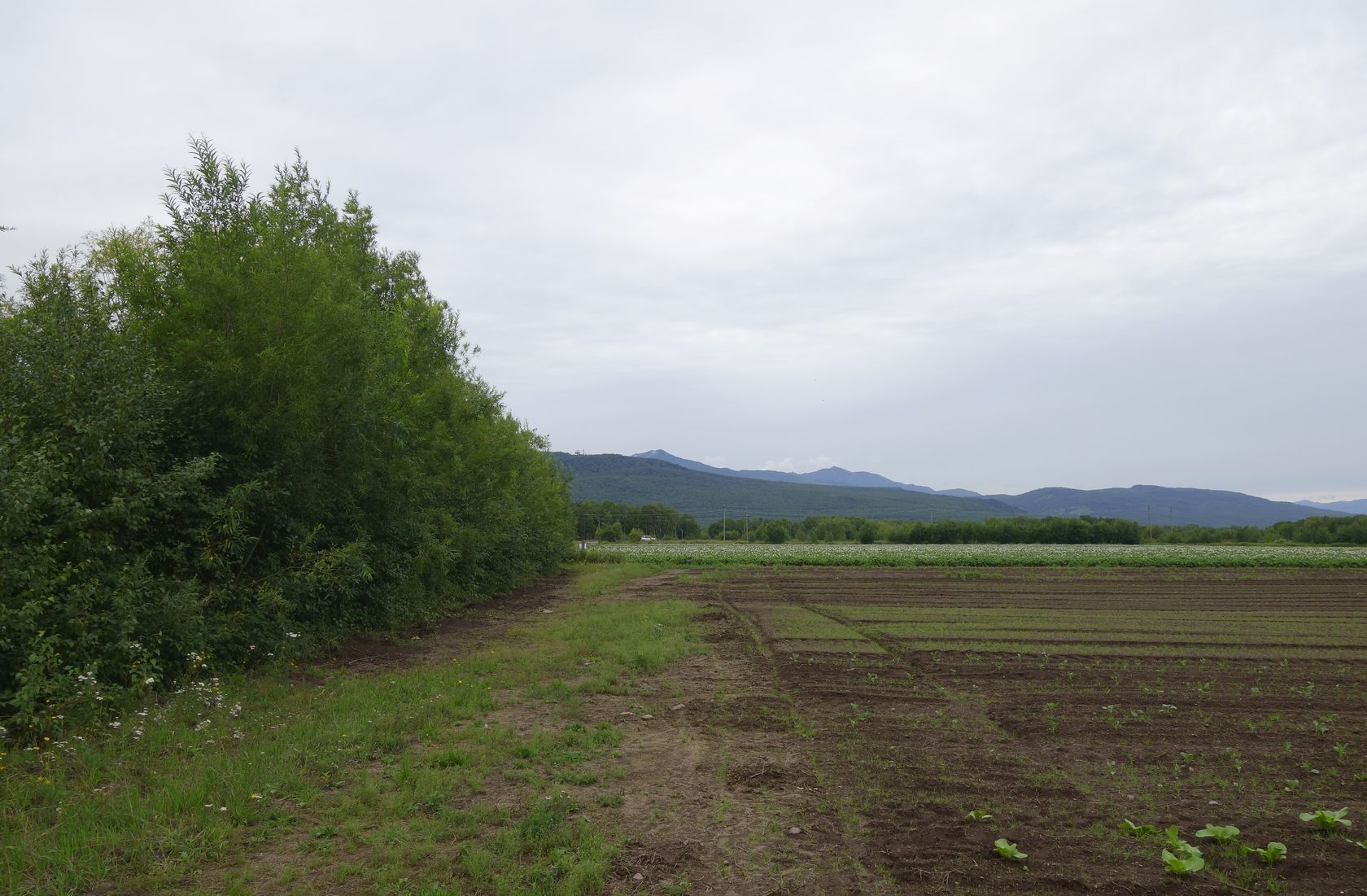 Мечта, image of landscape/habitat.