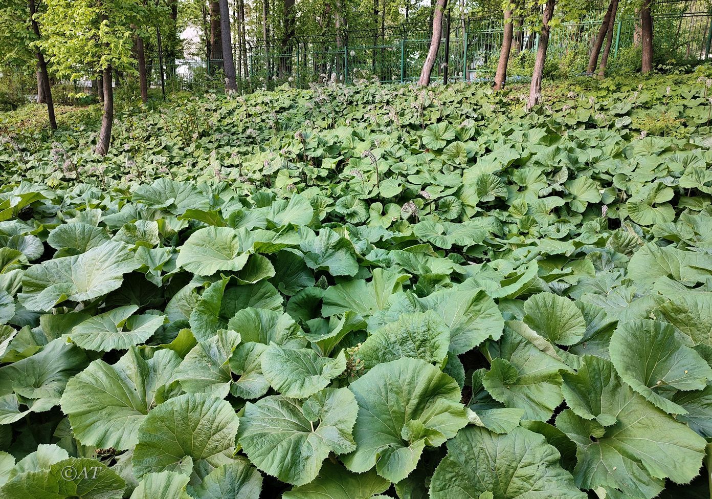 Москва, image of landscape/habitat.
