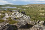 Image of landscape
