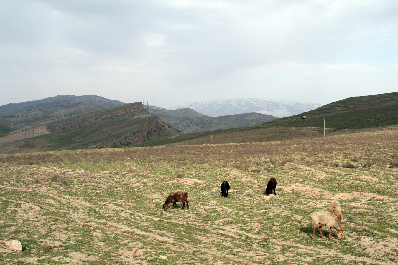 Акрабатский перевал, image of landscape/habitat.