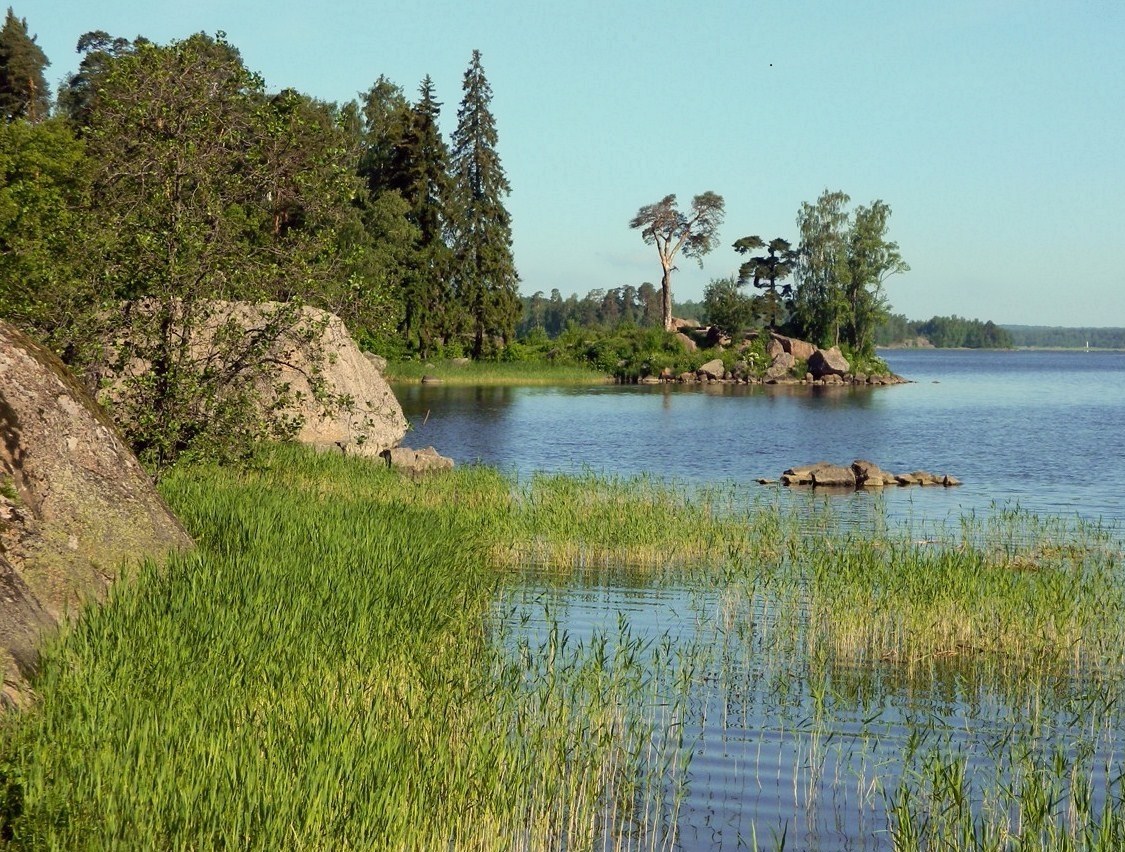 Парк Монрепо, image of landscape/habitat.