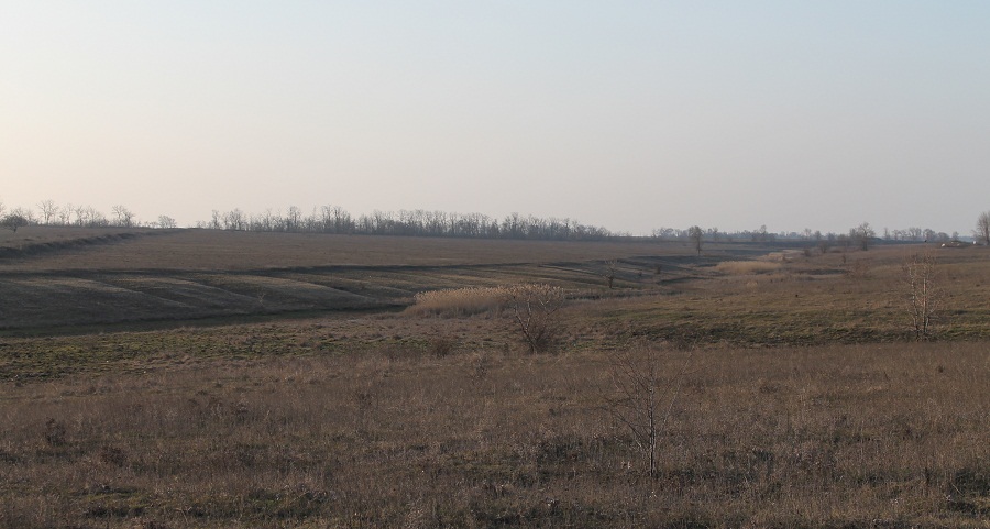 Отрог балки Широкой, image of landscape/habitat.