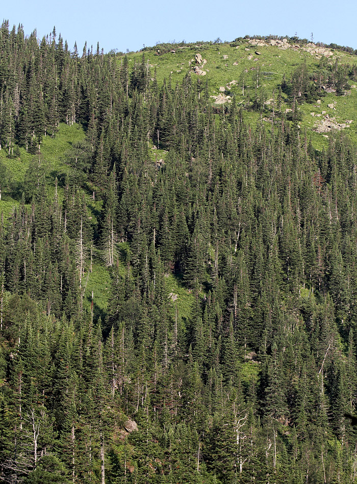 Тропа на "Чум", изображение ландшафта.