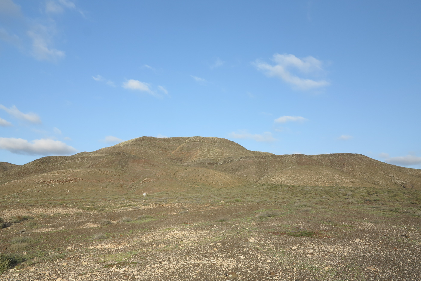 Эль Котильо и окрестности, image of landscape/habitat.