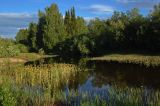 Image of landscape