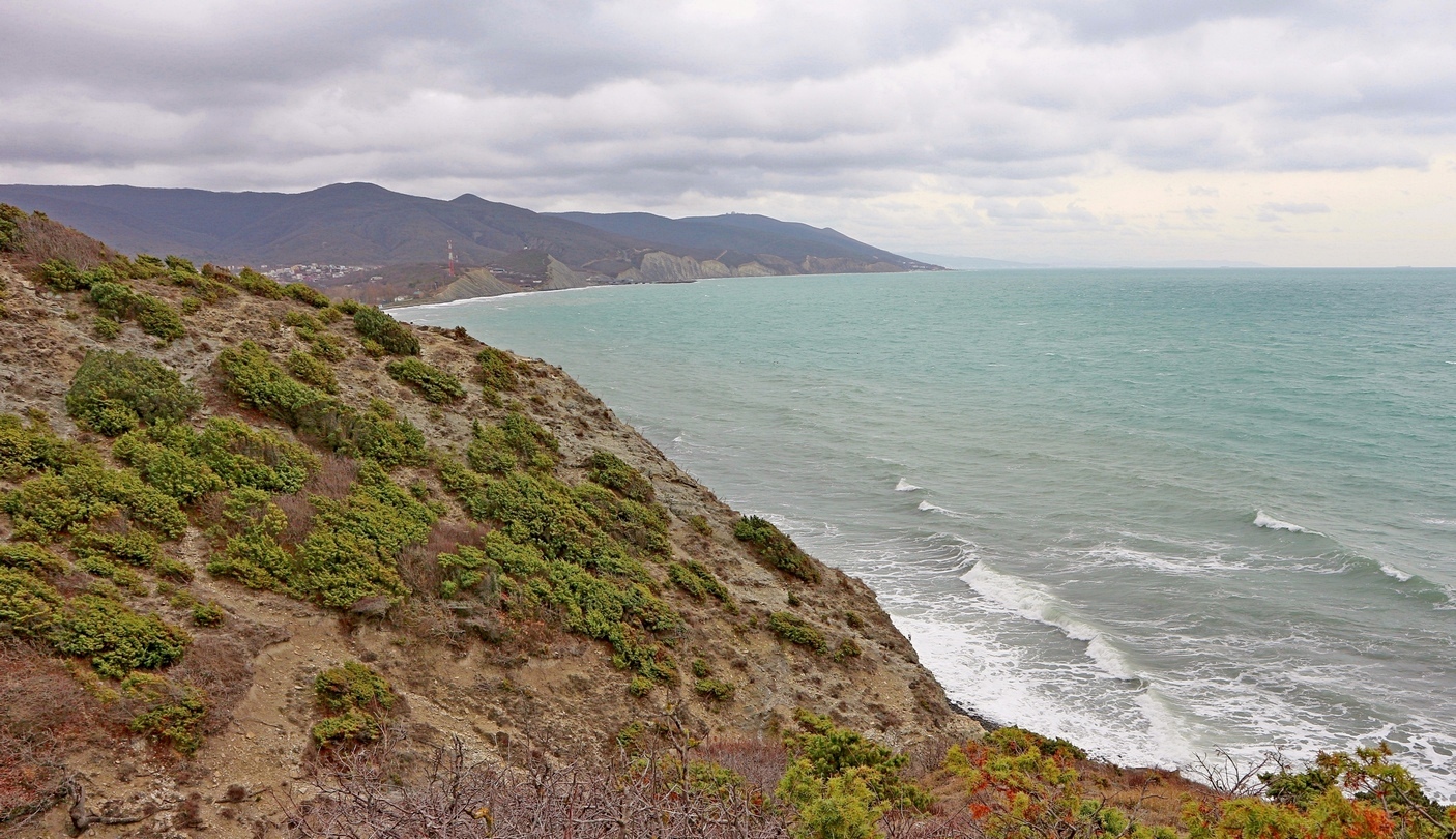 Южная Озерейка, image of landscape/habitat.