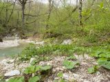 Глубокий Яр, image of landscape/habitat.