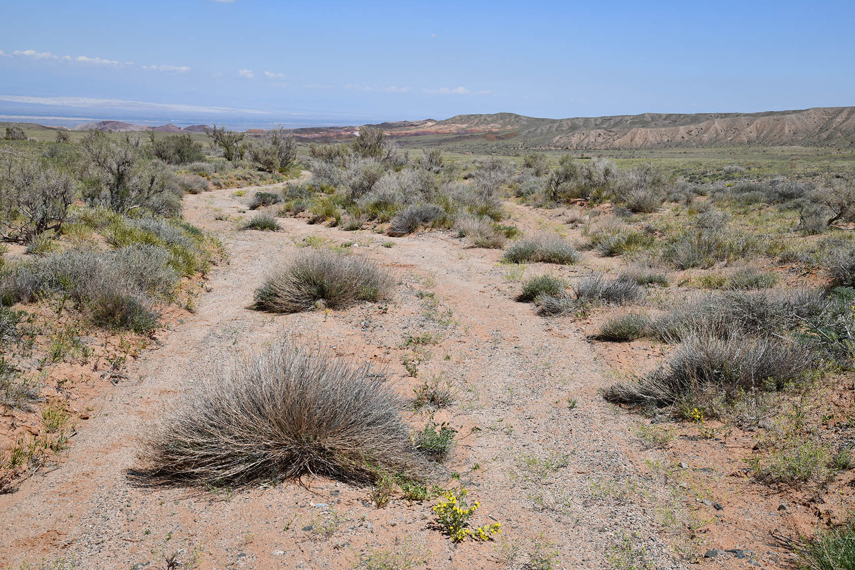 Горы Улькен-Богуты, image of landscape/habitat.