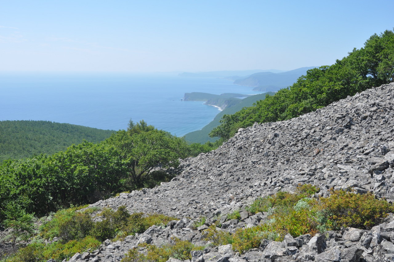 Гора Абрек, image of landscape/habitat.