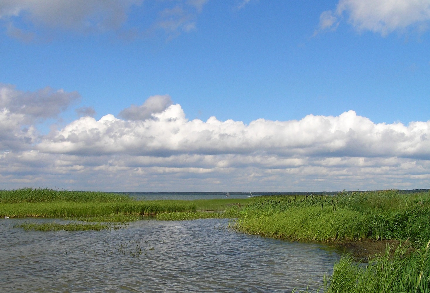 Плещеево озеро у Синего Камня, image of landscape/habitat.