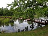 Image of landscape