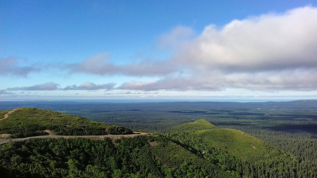 Сухарная, image of landscape/habitat.