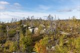 Воттоваара, image of landscape/habitat.