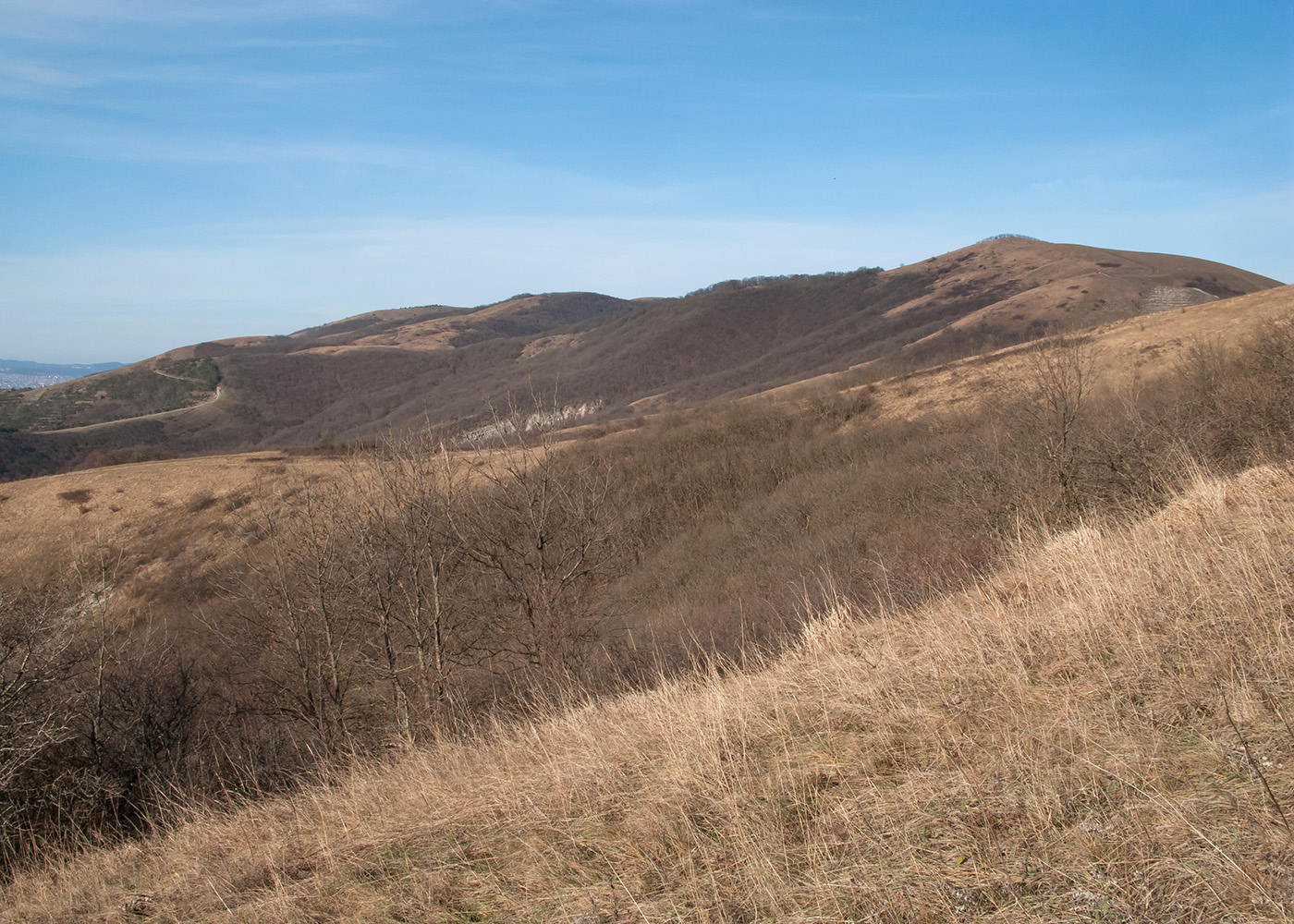 Урочище Солдатский Бугор, image of landscape/habitat.