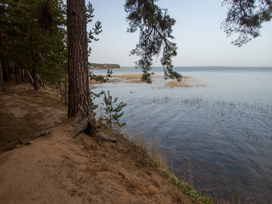 Национальный парк "Нарочанский", image of landscape/habitat.