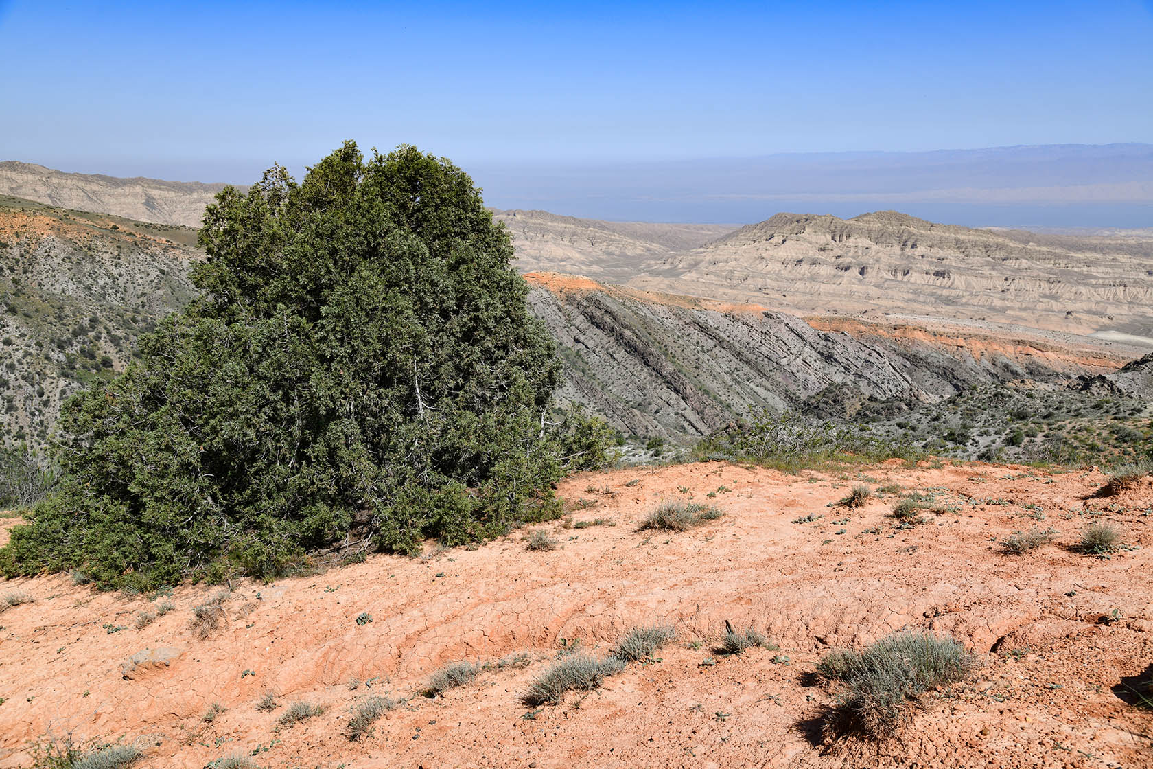 Гальчабаши, image of landscape/habitat.