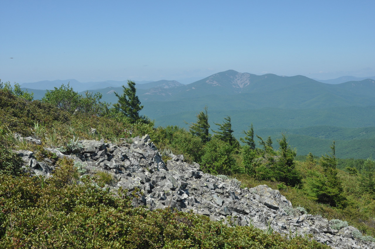 Гора Абрек, image of landscape/habitat.