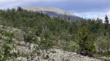 Сосьвинский хребет, image of landscape/habitat.