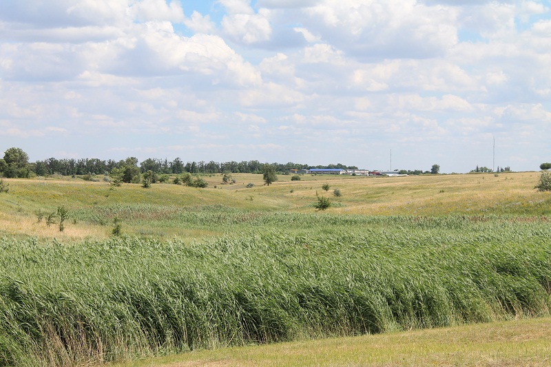 Отрог балки Широкой, изображение ландшафта.