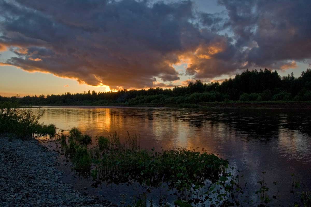 База и окрестности, image of landscape/habitat.