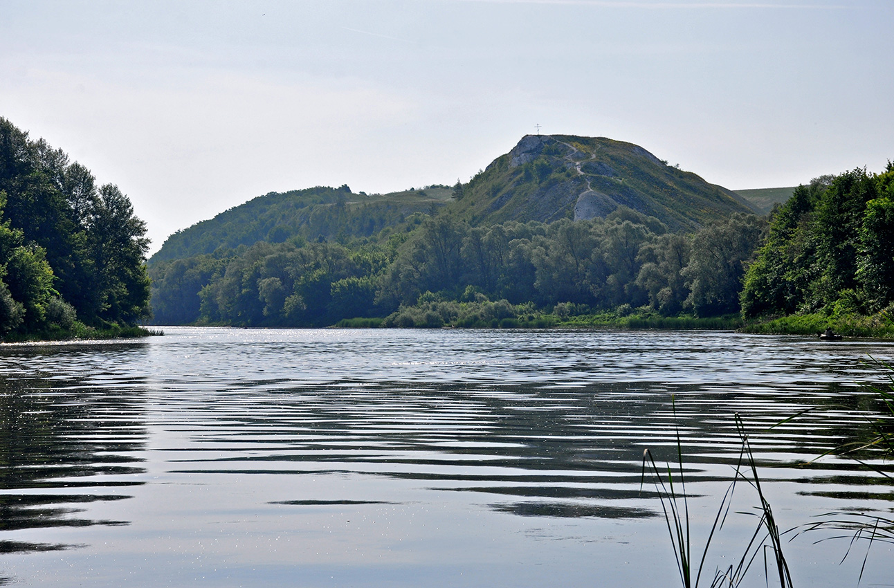 Шатрище, image of landscape/habitat.