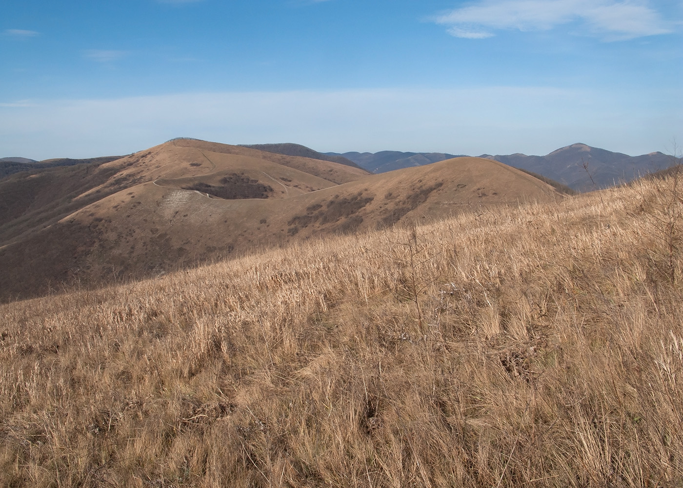 Урочище Солдатский Бугор, image of landscape/habitat.