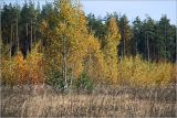 Окрестности Хрипани, image of landscape/habitat.