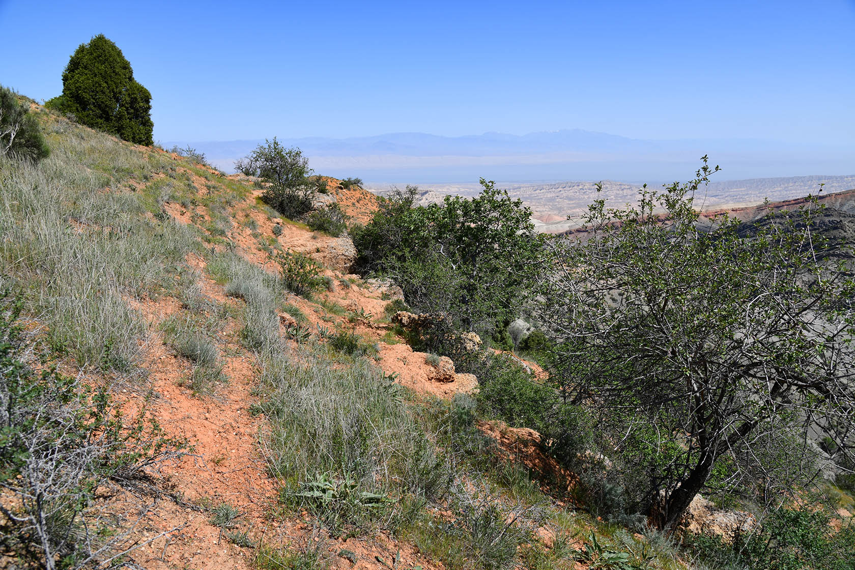 Гальчабаши, image of landscape/habitat.